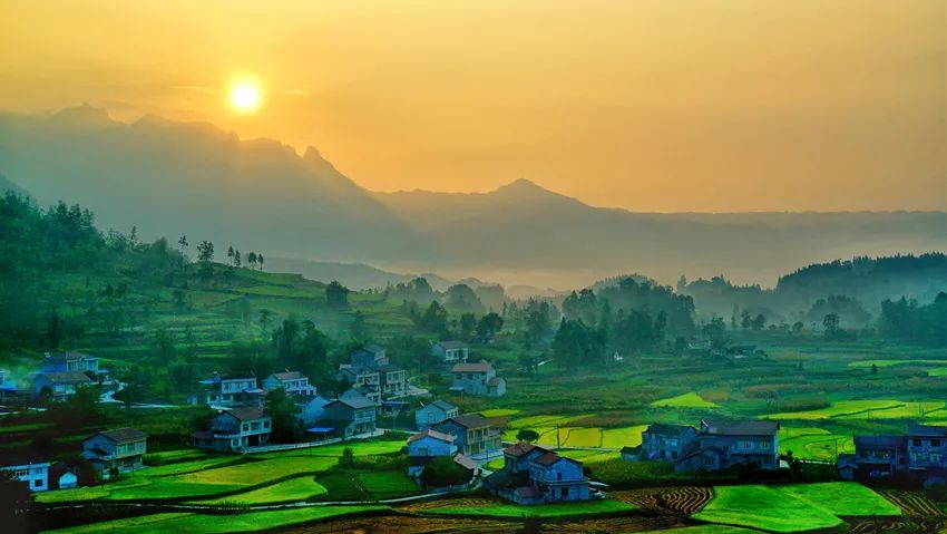 富硒野生茶是哪里的（野生茶富硒是什么意思）-硒宝网