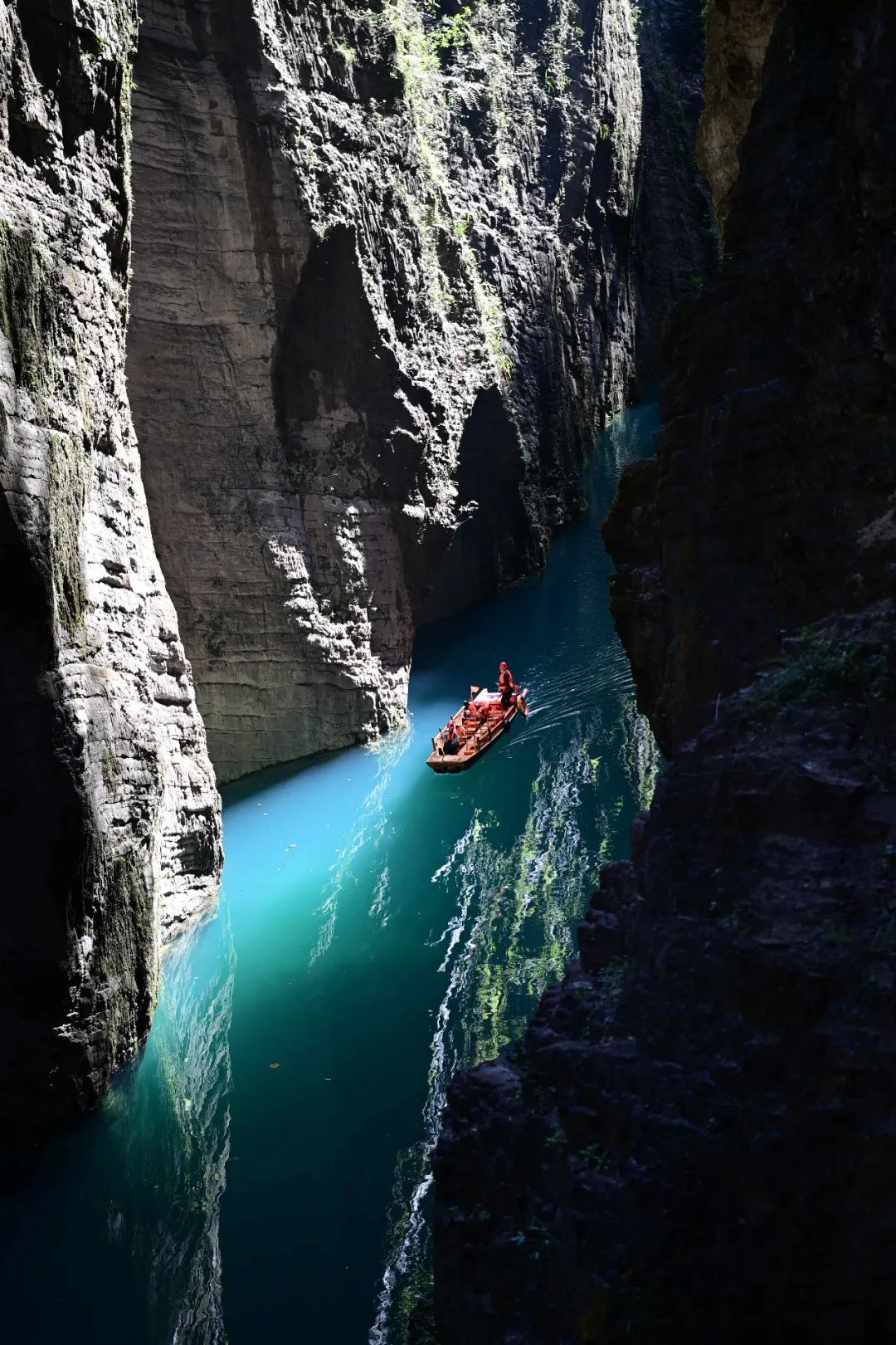 富硒野生茶是哪里的（野生茶富硒是什么意思）-硒宝网