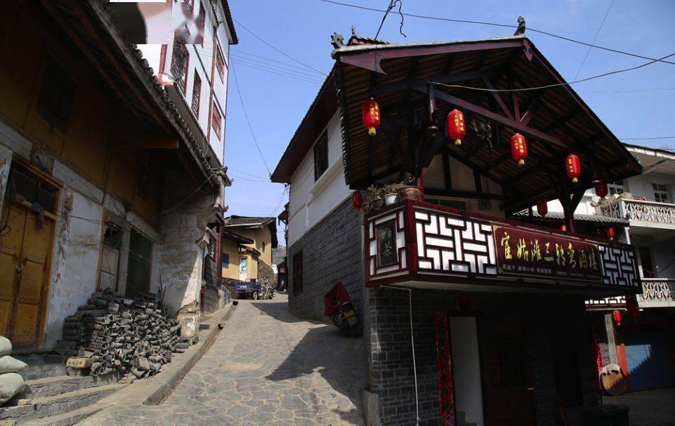 紫阳富硒最好的茶图（紫阳富硒茶焕古茶价格）-硒宝网