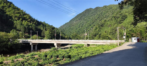 石台茶乡富硒土特产(石台特产富硒茶价格)-硒宝网