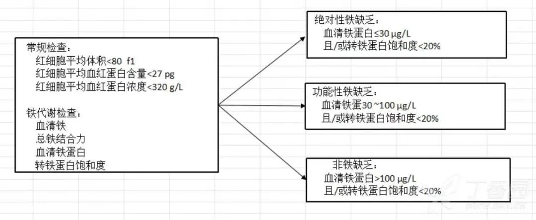 补铁的药(什么药补铁)-硒宝网