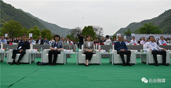 石台茶乡富硒土特产(石台富硒石)-硒宝网