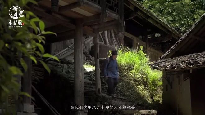 土家富硒藤茶是真的(土家富硒藤茶是什么味道)-硒宝网