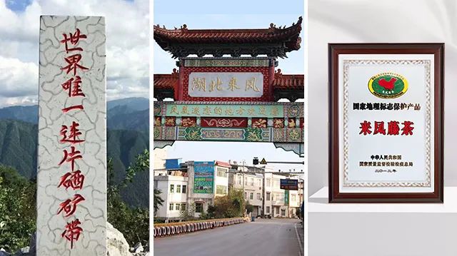 土家富硒藤茶是真的(土家富硒藤茶是什么味道)-硒宝网