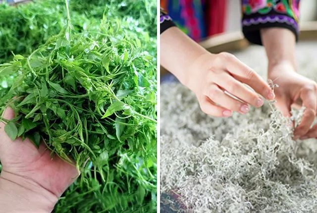 土家富硒藤茶是真的(土家富硒藤茶是什么味道)-硒宝网