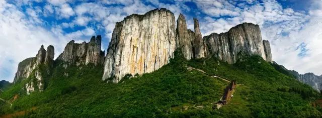 恩施富硒茶用农药吗（农药茶恩施富硒用量多少）-硒宝网