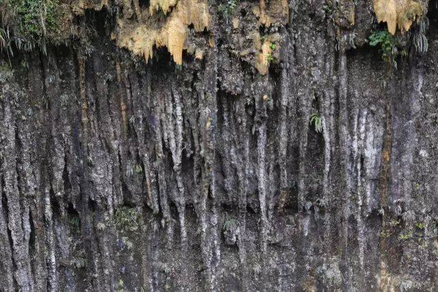 恩施富硒茶用农药吗（农药茶恩施富硒用量多少）-硒宝网