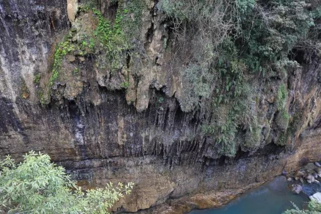 恩施富硒茶用农药吗（农药茶恩施富硒用量多少）-硒宝网