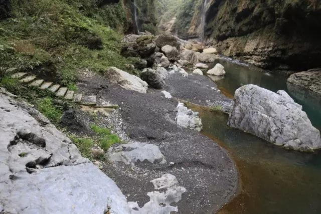 恩施富硒茶用农药吗（农药茶恩施富硒用量多少）-硒宝网