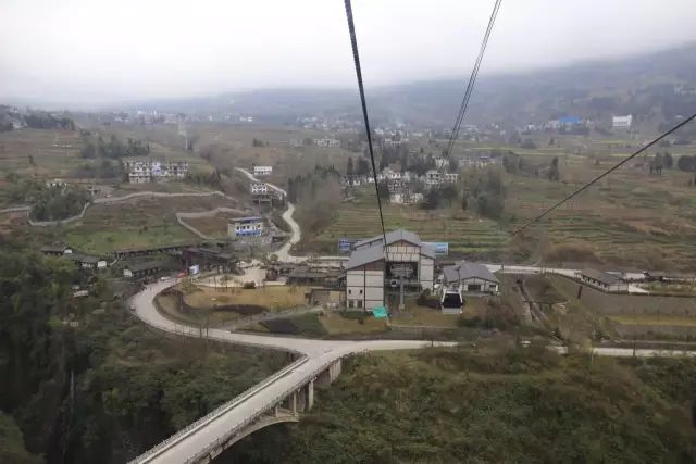 恩施富硒茶用农药吗（农药茶恩施富硒用量多少）-硒宝网