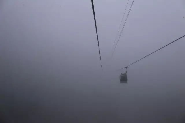 恩施富硒茶用农药吗（农药茶恩施富硒用量多少）-硒宝网