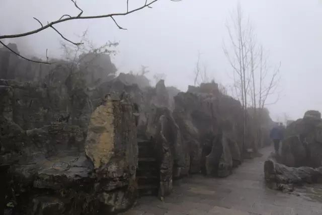 恩施富硒茶用农药吗（农药茶恩施富硒用量多少）-硒宝网