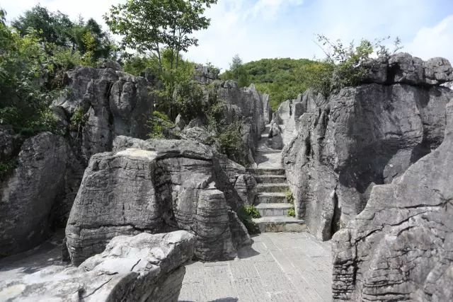 恩施富硒茶用农药吗（农药茶恩施富硒用量多少）-硒宝网