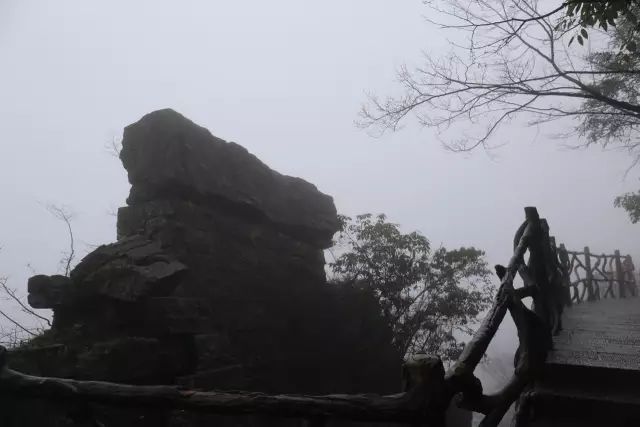 恩施富硒茶用农药吗（农药茶恩施富硒用量多少）-硒宝网