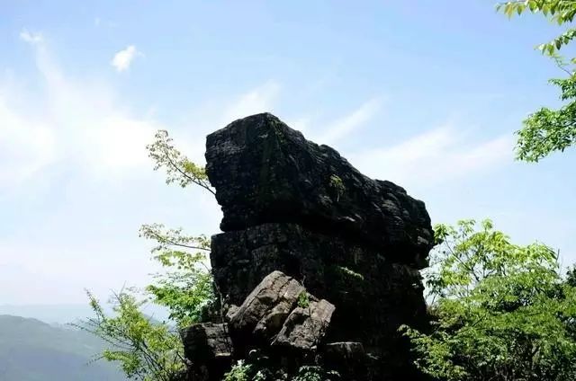 恩施富硒茶用农药吗（农药茶恩施富硒用量多少）-硒宝网