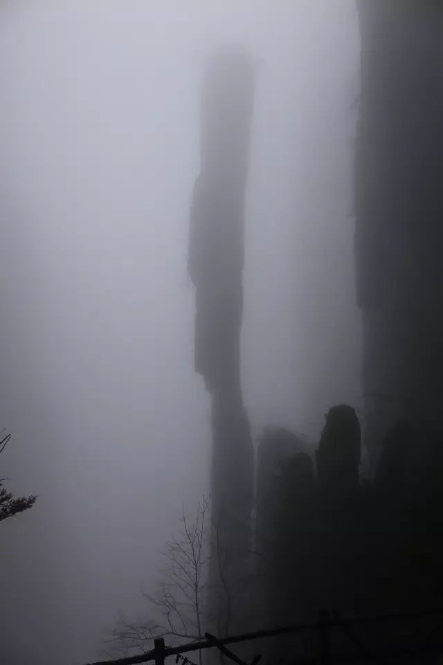 恩施富硒茶用农药吗（农药茶恩施富硒用量多少）-硒宝网