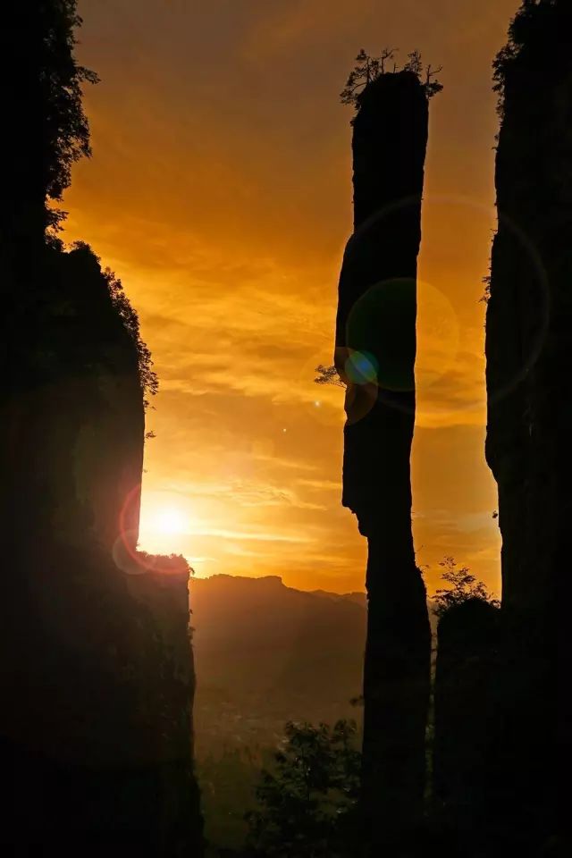 恩施富硒茶用农药吗（农药茶恩施富硒用量多少）-硒宝网