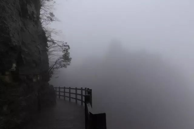 恩施富硒茶用农药吗（农药茶恩施富硒用量多少）-硒宝网