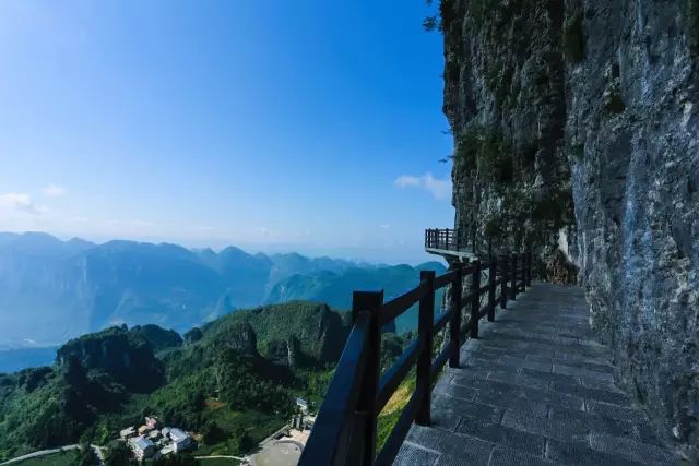 恩施富硒茶用农药吗（农药茶恩施富硒用量多少）-硒宝网