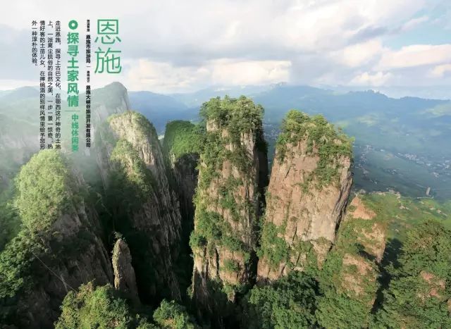 恩施富硒茶用农药吗（农药茶恩施富硒用量多少）-硒宝网