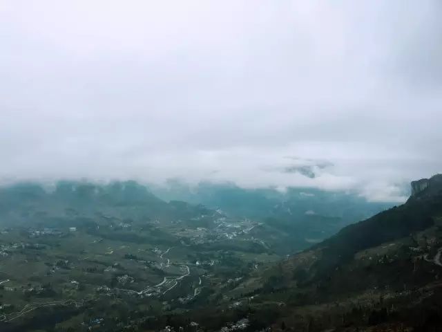 恩施富硒茶用农药吗（农药茶恩施富硒用量多少）-硒宝网