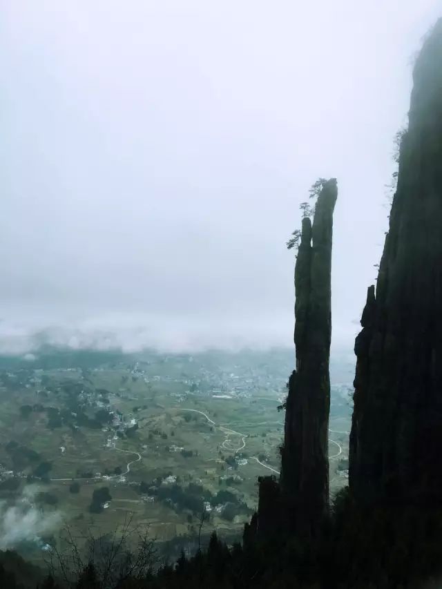 恩施富硒茶用农药吗（农药茶恩施富硒用量多少）-硒宝网