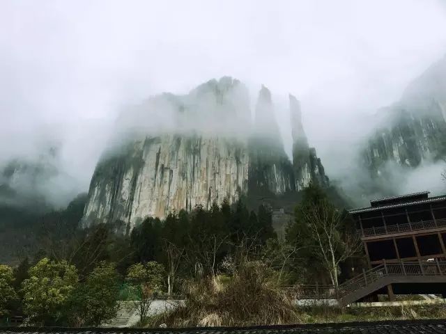 恩施富硒茶用农药吗（农药茶恩施富硒用量多少）-硒宝网