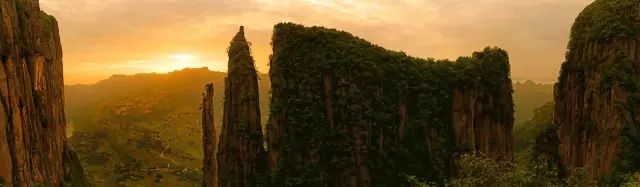 恩施富硒茶用农药吗（农药茶恩施富硒用量多少）-硒宝网