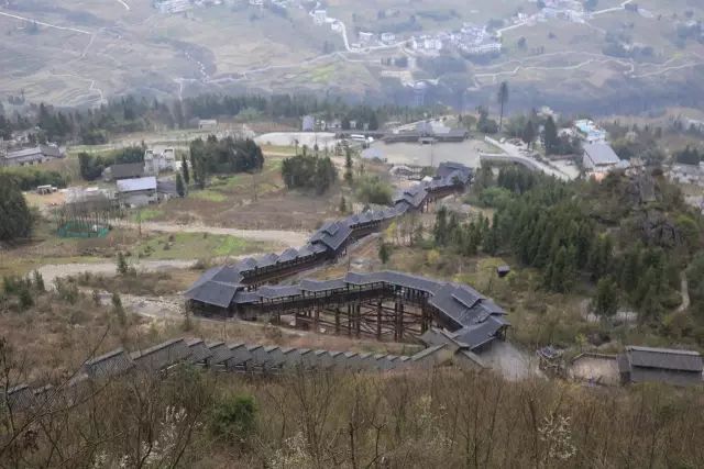 恩施富硒茶用农药吗（农药茶恩施富硒用量多少）-硒宝网