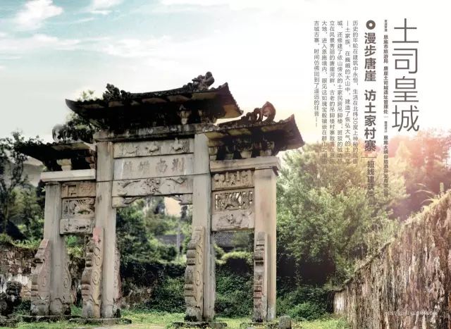 恩施富硒茶用农药吗（农药茶恩施富硒用量多少）-硒宝网