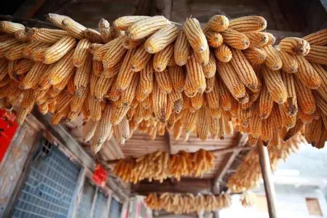 恩施富硒茶用农药吗（农药茶恩施富硒用量多少）-硒宝网