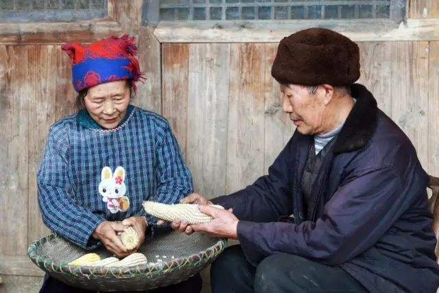 恩施富硒茶用农药吗（农药茶恩施富硒用量多少）-硒宝网