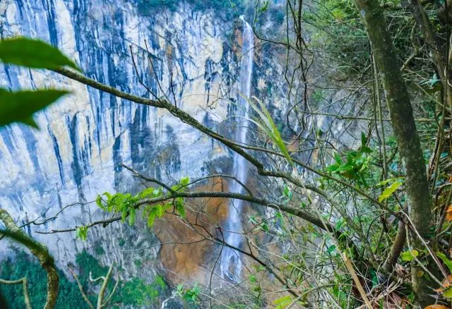 恩施富硒茶用农药吗（农药茶恩施富硒用量多少）-硒宝网