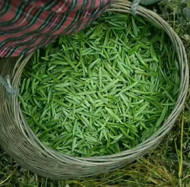 恩施富硒茶用农药吗（农药茶恩施富硒用量多少）-硒宝网