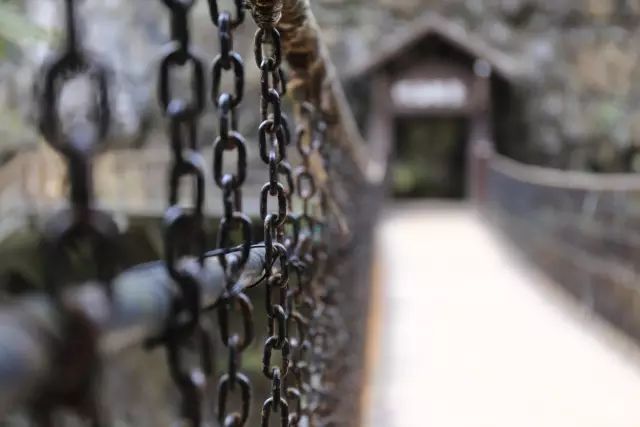 恩施富硒茶用农药吗（农药茶恩施富硒用量多少）-硒宝网