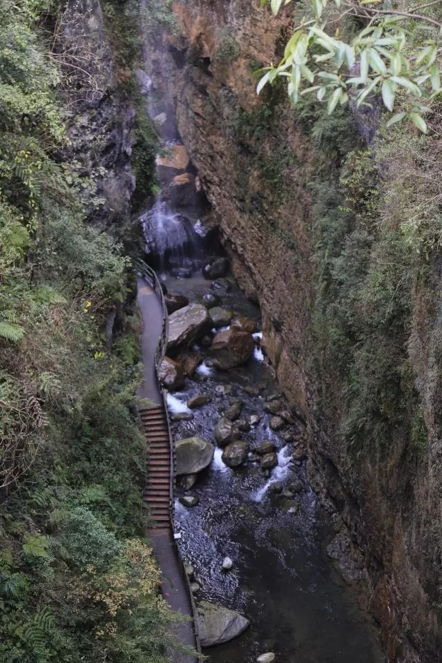 恩施富硒茶用农药吗（农药茶恩施富硒用量多少）-硒宝网