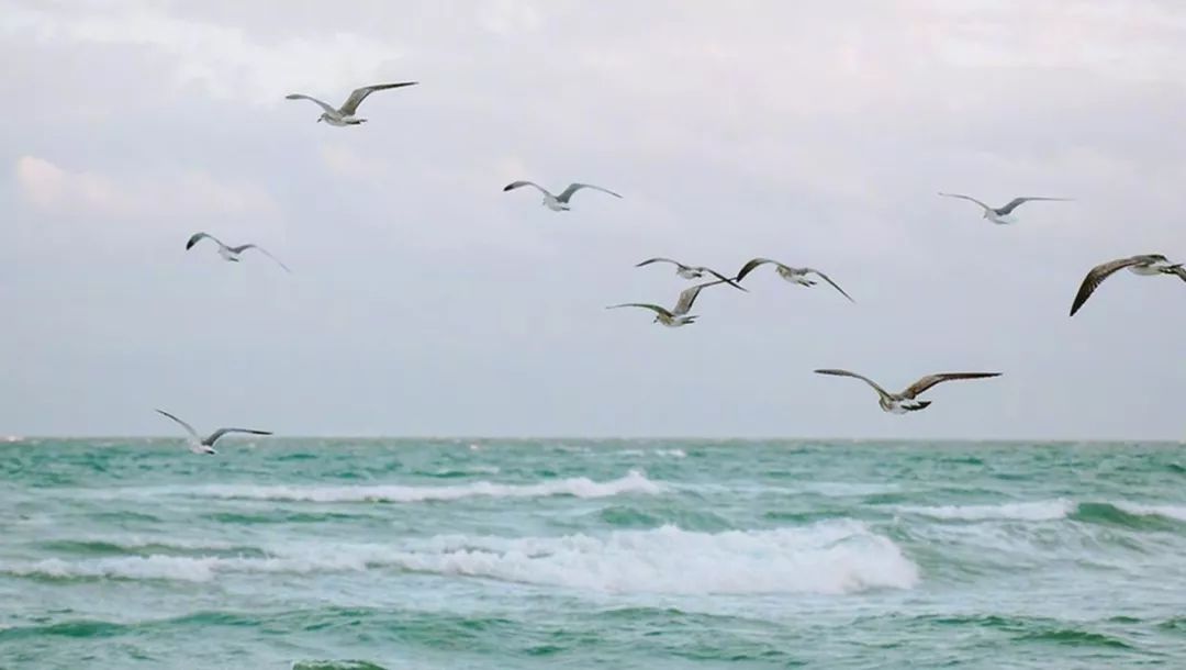 陕南富硒茶去哪里买（陕西富硒茶的功效与作用）-硒宝网