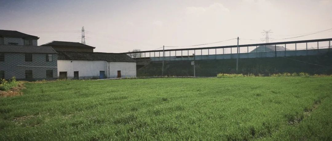 陕南富硒茶去哪里买(富硒茶走廊)-硒宝网