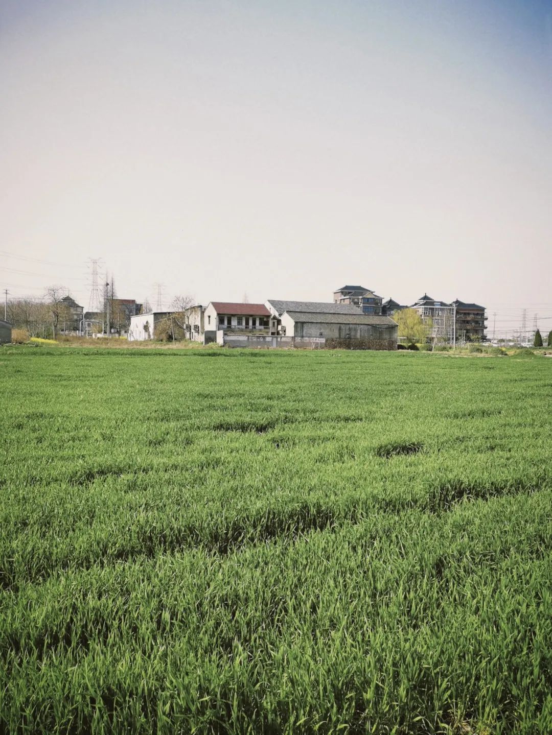 陕南富硒茶去哪里买(富硒茶走廊)-硒宝网