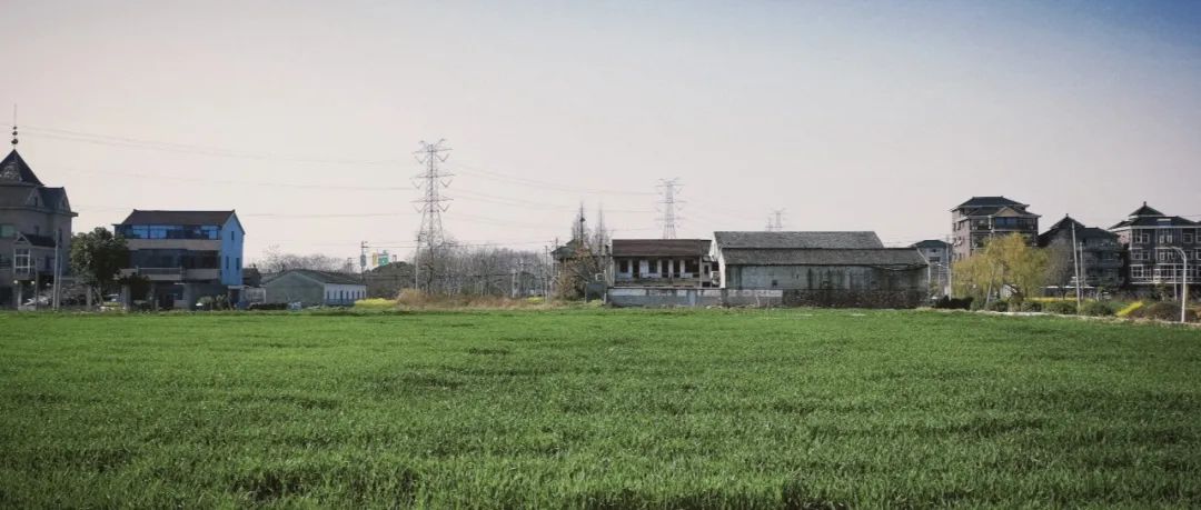 陕南富硒茶去哪里买(富硒茶走廊)-硒宝网