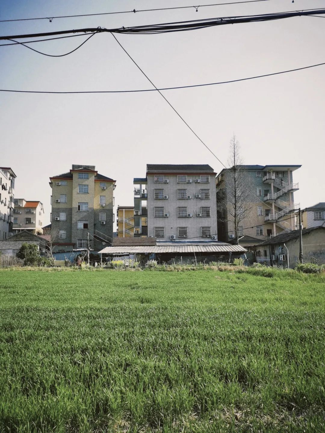 陕南富硒茶去哪里买(富硒茶走廊)-硒宝网