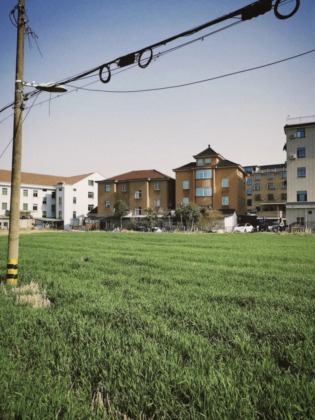 陕南富硒茶去哪里买(富硒茶走廊)-硒宝网