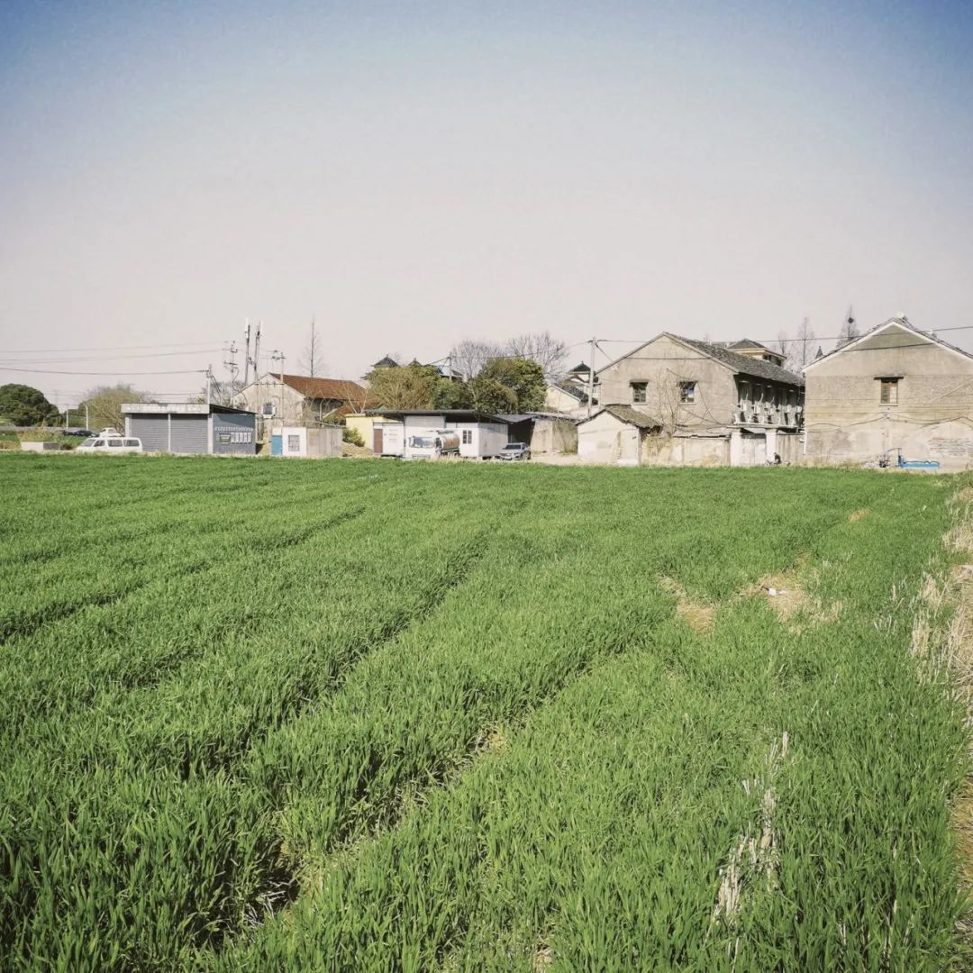 陕南富硒茶去哪里买(富硒茶走廊)-硒宝网