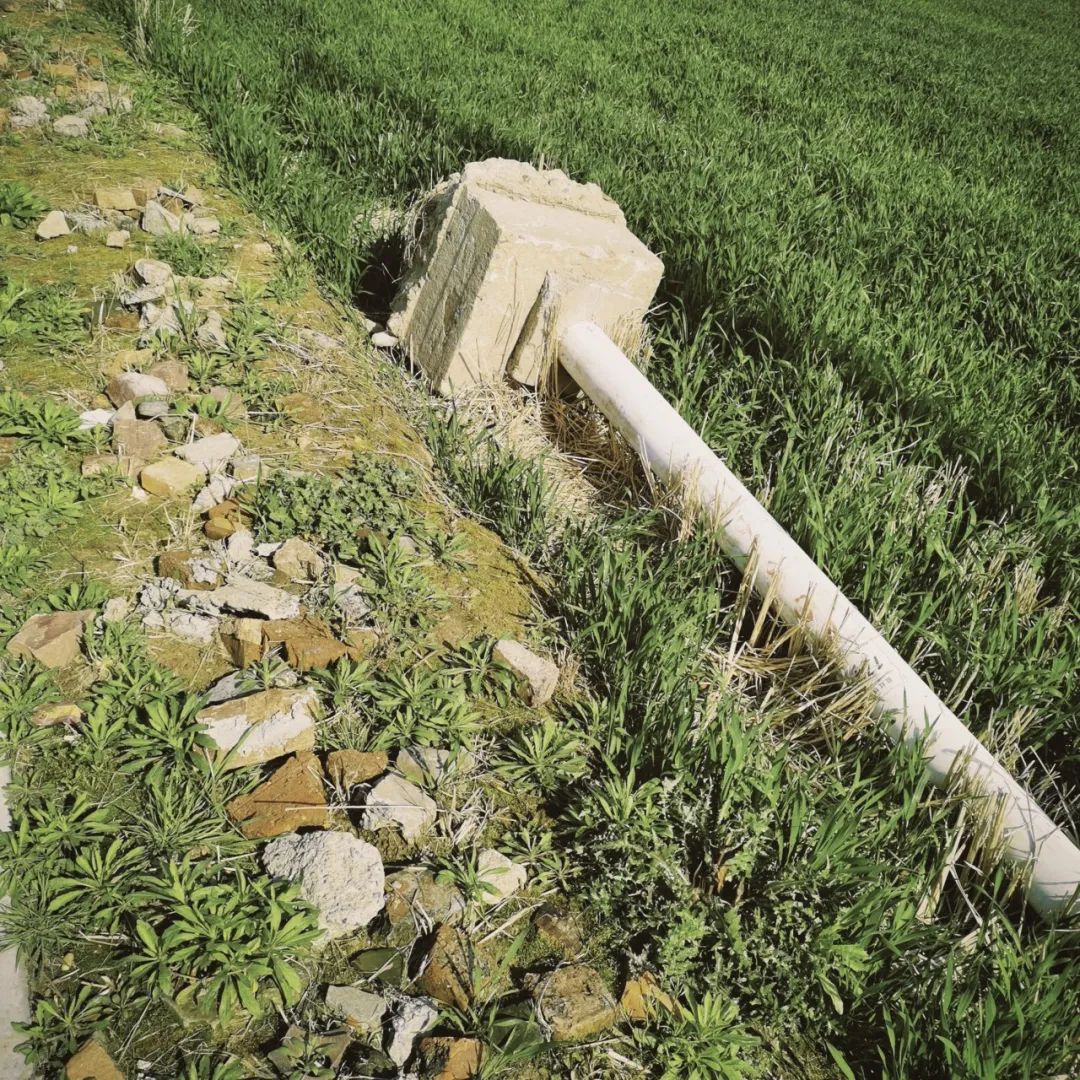 陕南富硒茶去哪里买(富硒茶走廊)-硒宝网