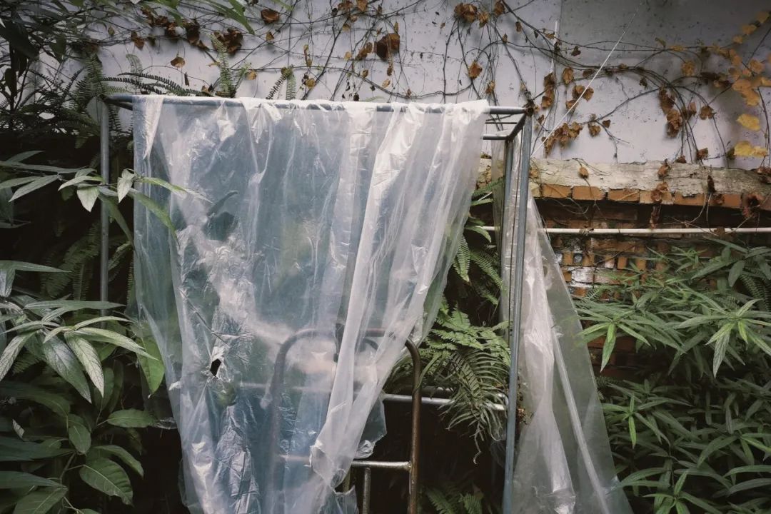 陕南富硒茶去哪里买(富硒茶走廊)-硒宝网