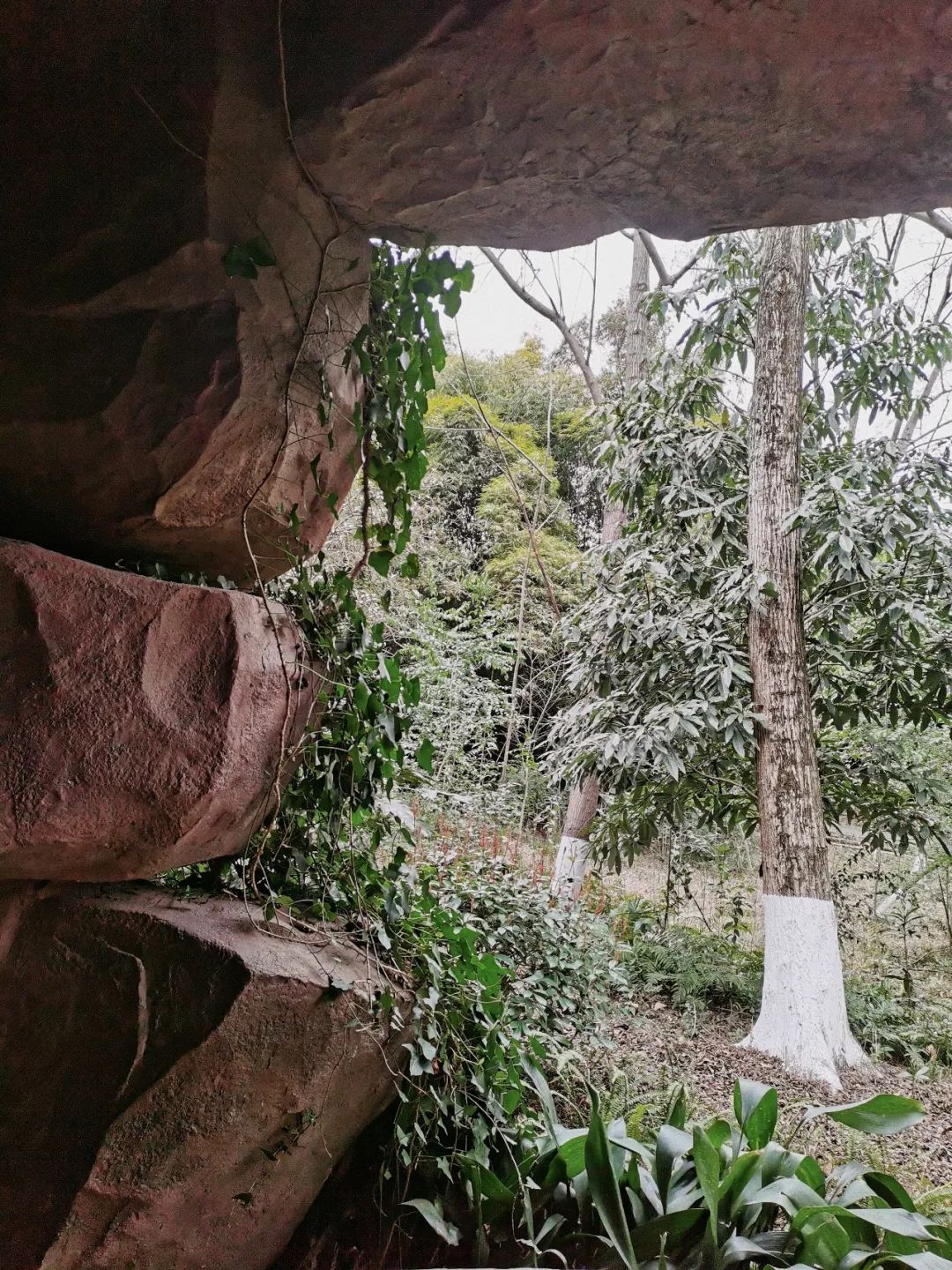 陕南富硒茶去哪里买(富硒茶走廊)-硒宝网