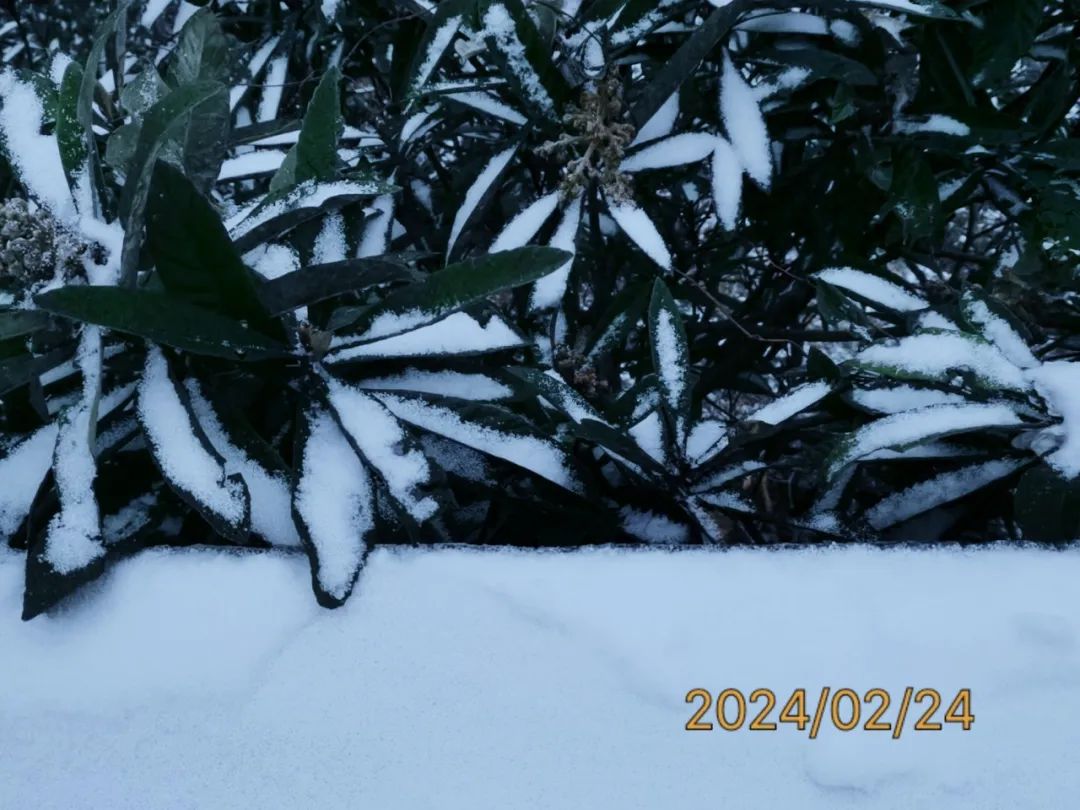 陕南富硒茶去哪里买(富硒茶走廊)-硒宝网