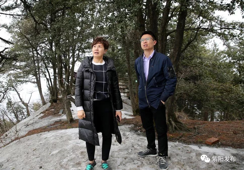 陈莲介绍紫阳富硒茶(紫阳茶富硒饮品价格)-硒宝网