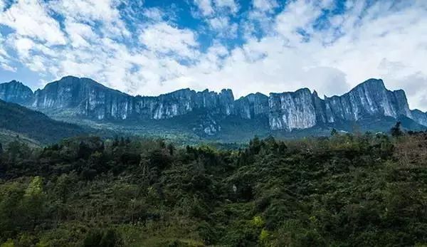 恩施富硒茶回甘持久(富硒茶恩施)-硒宝网