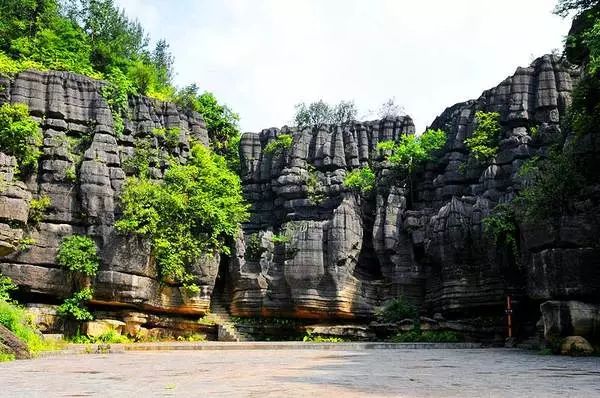 恩施富硒茶回甘持久(富硒茶恩施)-硒宝网